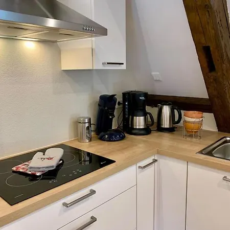 Les Toits Du Rempart Apartamento Eguisheim