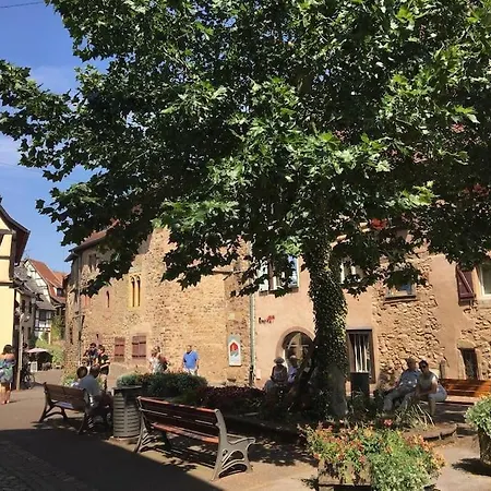 Les Toits Du Rempart * Eguisheim
