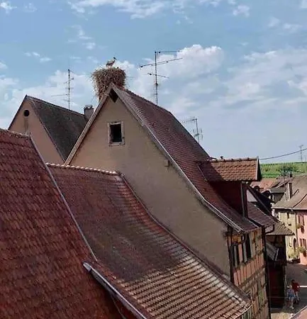 Appartement Les Toits Du Rempart Eguisheim