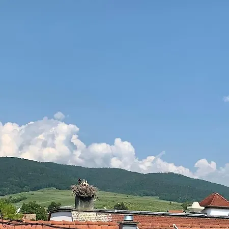 Les Toits Du Rempart Apartamento *