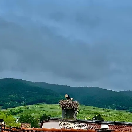 Les Toits Du Rempart
