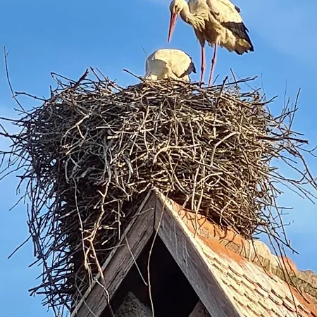 Appartement Les Toits Du Rempart *